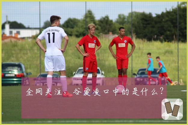 全网关注，谷爱凌口中的是什么？