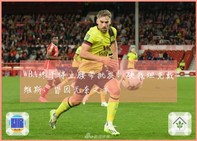 WBA终于停止腰带批发！硬裁坦克戴维斯，皆因无奈之举